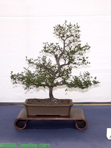 2002Betsuin 135_adj.jpg
